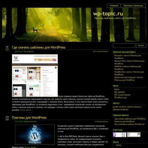 Бесплатный шаблон WordPress Blackmagic
