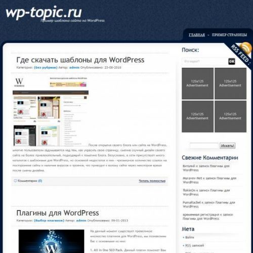 Бесплатный шаблон WordPress BlueSim