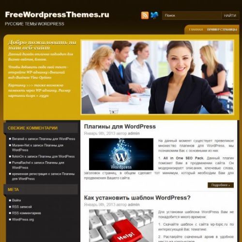 Бесплатный шаблон WordPress Business View