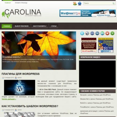 Бесплатный шаблон WordPress Carolina
