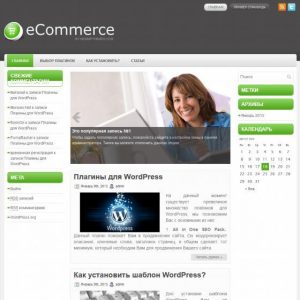 Бесплатный шаблон WordPress eCommerce