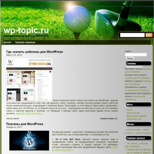 Бесплатный шаблон WordPress Golfer