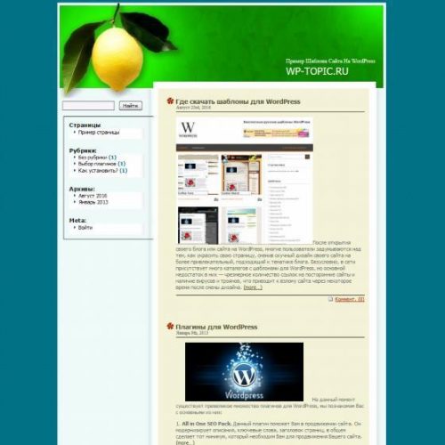 Бесплатный шаблон WordPress Lonely Lemon