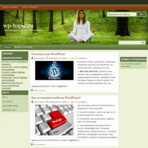 Бесплатный шаблон WordPress Natural Health