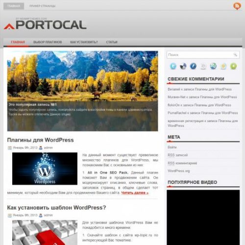 Бесплатный шаблон WordPress Portocal