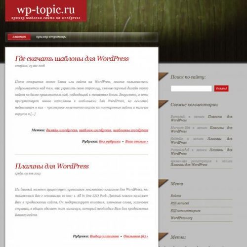 Бесплатный шаблон WordPress Woodenly