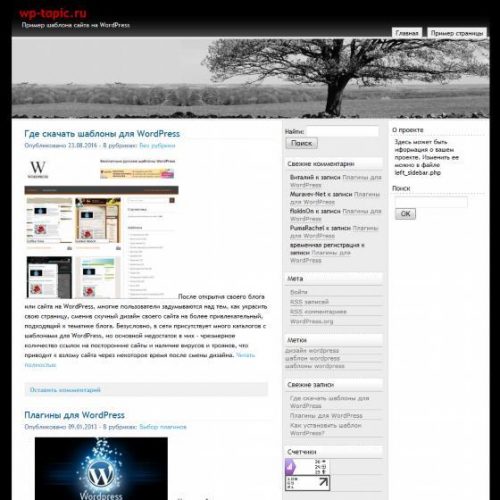 Бесплатный шаблон WordPress Ygoloner
